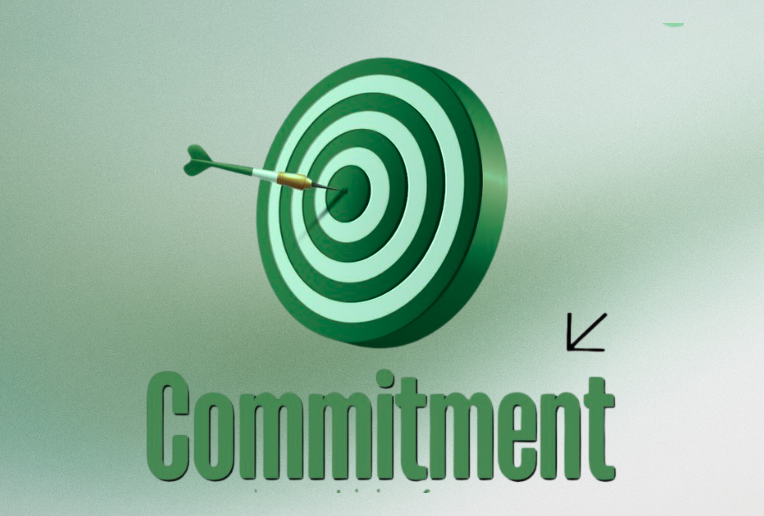 our commitment
